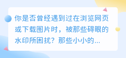 lr电脑版去水印教程：轻松几步告别图片水印！