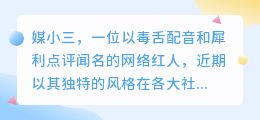 媒小三毒舌配音,犀利点评引热议,网友纷纷点赞!