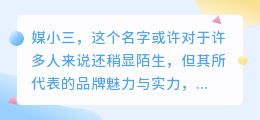 媒小三品牌介绍视频:深度解读,展现品牌魅力与实力!