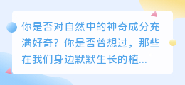 芦丁提取全过程揭秘:详细步骤与技巧一览