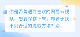 网易云视频提取技巧:3步教你轻松搞定,实用列表速览!