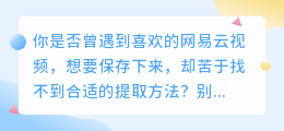 网易云视频提取技巧：3步教你轻松搞定，实用列表速览！