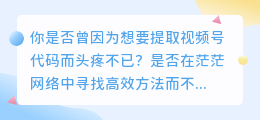 视频号代码提取：高效方法大揭秘，10招助你轻松获取！