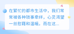 媒小三祝福语，传递温馨与喜悦，让生活更美好！