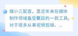 媒小三配音，究竟该选哪款？双重肯定助你轻松决策！