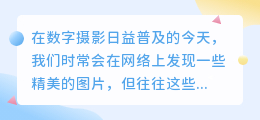 美图相机去水印功能详解:轻松摆脱图片水印的困扰