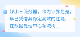 媒小三服务器:稳定高效,值得信赖的数据处理中心。