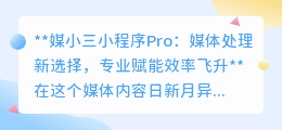 媒小三小程序Pro：专业媒体处理，一键提升效率！