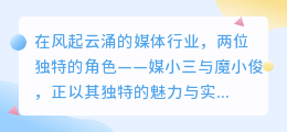 媒小三与魔小俊:双重实力,引领行业新风尚!