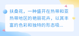 扶桑花美图去水印,视频教程速查!简单几步,轻松搞定!