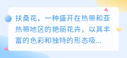 扶桑花美图去水印，视频教程速查！简单几步，轻松搞定！