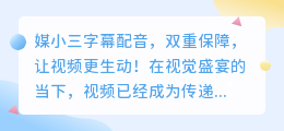 媒小三字幕配音,双重保障,让视频更生动!