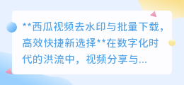 一键去水印,批量下载西瓜视频——高效快捷新选择