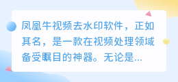 凤凰牛视频去水印软件:高效去除水印,轻松畅享无水印视频?