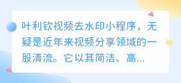 叶利钦视频去水印小程序:轻松去水印,高清无痕分享!