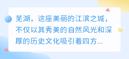 芜湖网站视频去水印app:轻松去除水印,一键畅享高清视频!