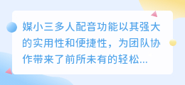 媒小三多人配音功能强大,团队协作更轻松!
