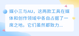 媒小三与AU,究竟有何不同?功能差异解析!