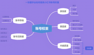 如何通过多维数据标签提升小红书账号权重?