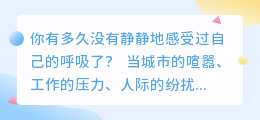在焦虑的浪潮中，为自己造一座宁静的岛屿
