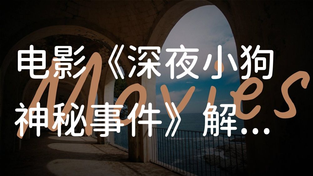 《深夜小狗神秘事件》电影解说稿：剧情完整版+彩蛋盘点（影视解说文案）