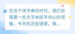 今日必收藏语录：那些让你瞬间清醒的温柔力量