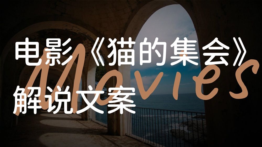 《猫的集会》电影解说稿：故事梳理+隐藏细节（影视解说文案）