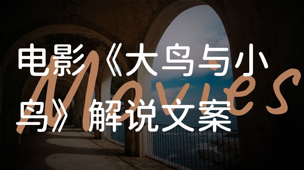 《大鸟与小鸟》电影解说稿：剧情完整版+隐藏细节（影视解说文案）
