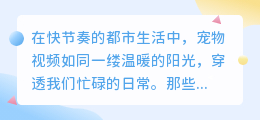 6句配音，让爱宠瞬间引爆你的朋友圈！