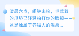 猫的温柔宇宙：只有养猫人才懂的10句心语