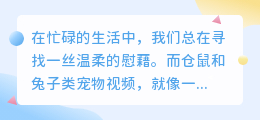 毛茸茸的治愈时光：当仓鼠和兔子偷走你的心