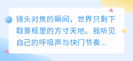 快门下的心跳：当镜头成为我的全世界