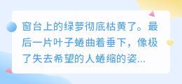 枯萎的绿意，荒芜的心