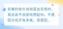 愿与你共赴花期，亦共抵霜雪