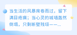 爱是重生的希望：在废墟之上，开出最坚韧的花