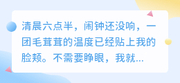 爱是无声的陪伴，是它教会我温柔地活着