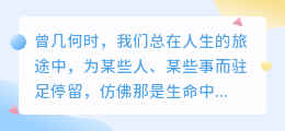 随风自漂流，心向自由洲