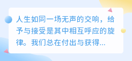给予与接受的平衡，是生命最温柔的共振