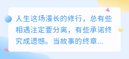 缘起缘灭各自行，因果轮回皆自担