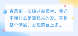 四季情书：那些未曾言说的深爱，都藏在了时光里