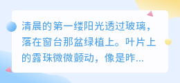 爱是窗台的绿植：无声生长，温柔相伴