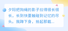 空狗碗盛满旧时光，你已走出我的余生