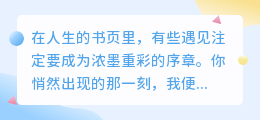 你是我故事的开篇，也是我无法落笔的终章