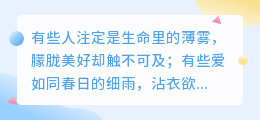 浅爱如风，刚好是最温柔的答案