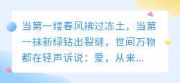 爱是春日暖阳：融化寒冬的温柔力量