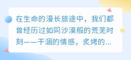 爱是沙漠的绿洲：在荒芜人生中寻一泓心泉
