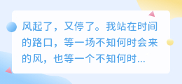 等风也等你：在时光的褶皱里，与爱相逢