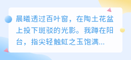 多肉丛中，爱意悄然生长