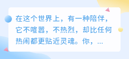 在孤独的陪伴里，与你相遇