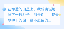 因果之茧：我种下你，却不敢尝这枚苦果